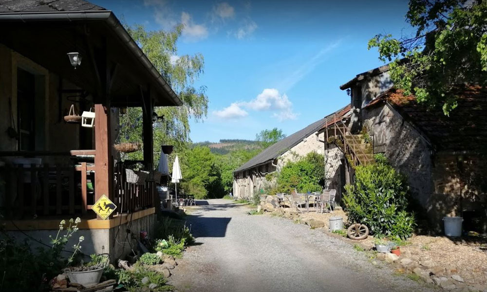 La Forêt du Morvan