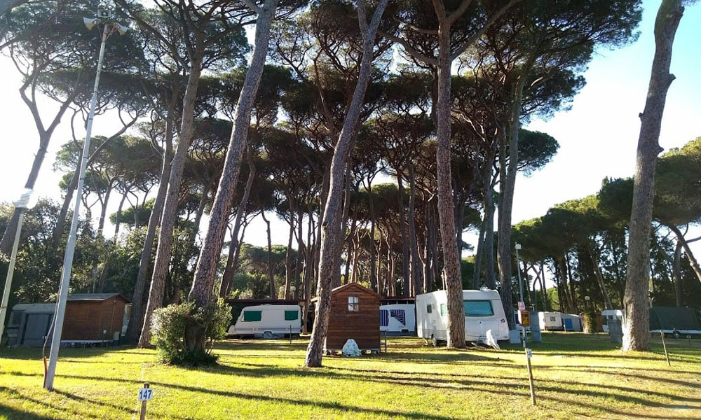 Camp Bocca Di Cecina