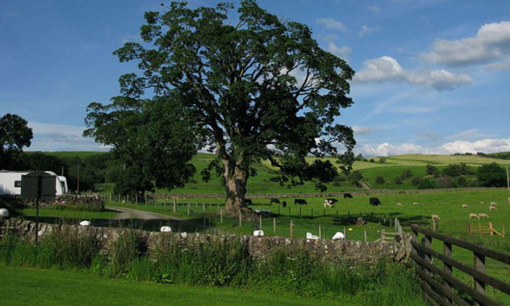 Newark Farm